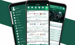 BetWinner Casino Your Ultimate Gaming Destination -809093026